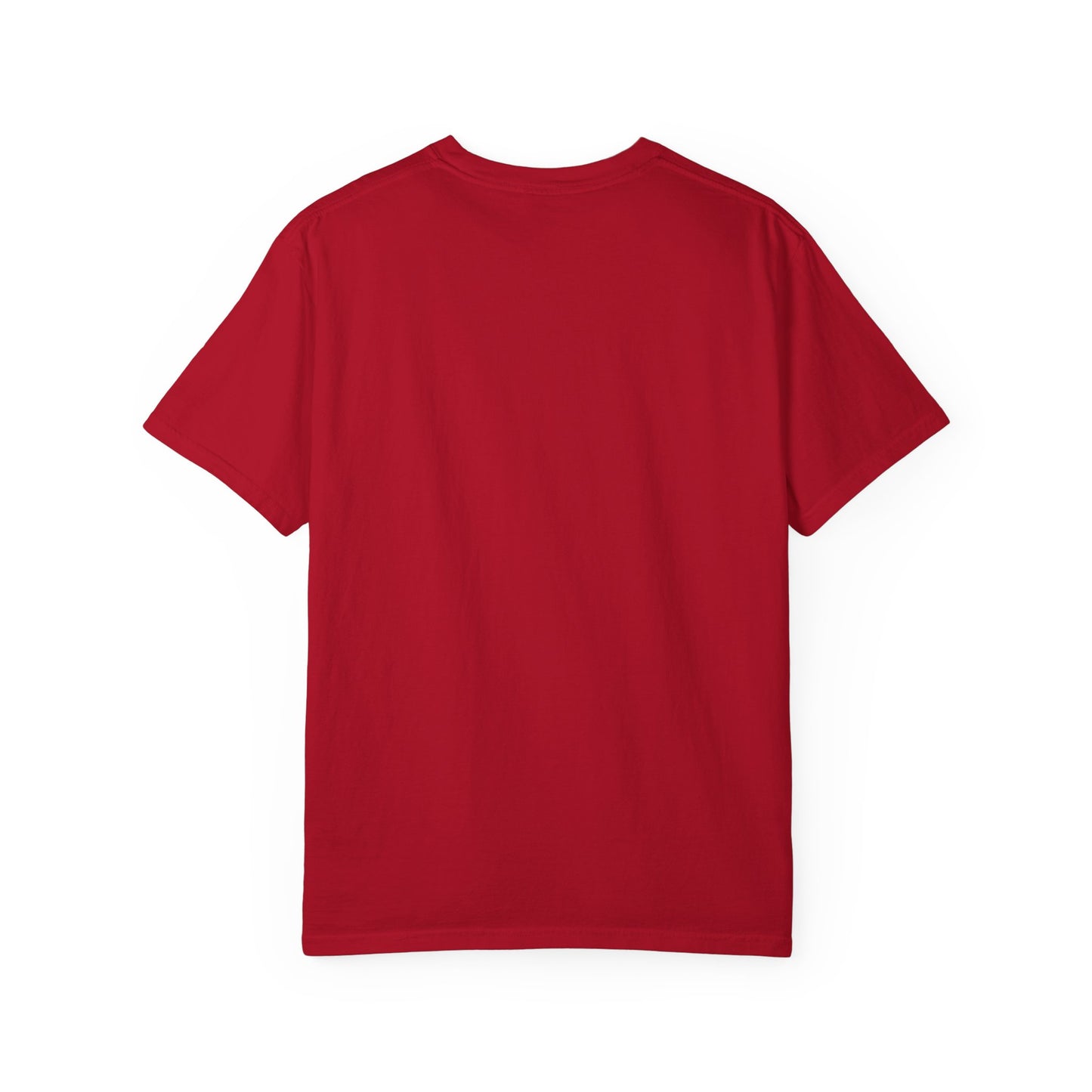 SOMERVILLE USED TO SUCK - T-Shirt